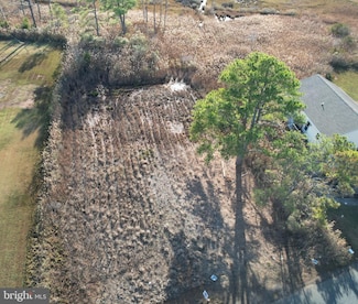 Parcel 724 Calvary Rd, Crisfield, MD 21817