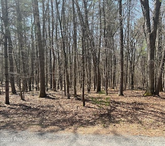 141 Hawks Nest Dr, Lackawaxen Township, PA 18428
