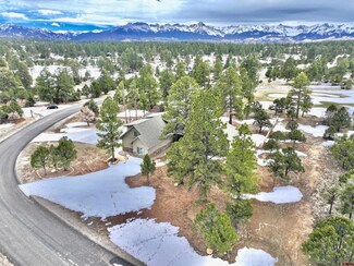 1545 Marmot Dr, Ridgway, CO 81432