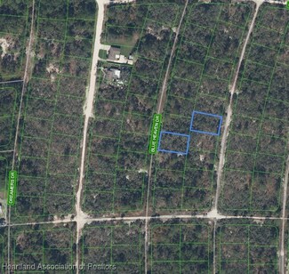 313 Blue Heaven Dr, Lake Placid, FL 33852