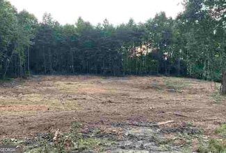 0 Asbestos Rd Unit 10520031, Cleveland, GA 30528