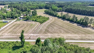 TBD Francis Gibson Rd, Centenary, SC 29519