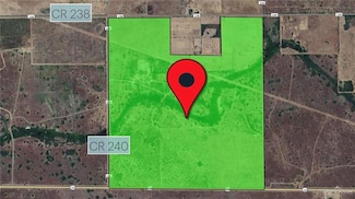TBD Cr 238, Concepcion, TX 78349