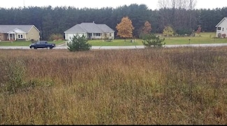 0 Long Wood Dr, Long Lake Township, MI 49685