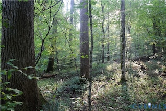 0 Redlawn Rd Unit 2528011, Boydton, VA 23917