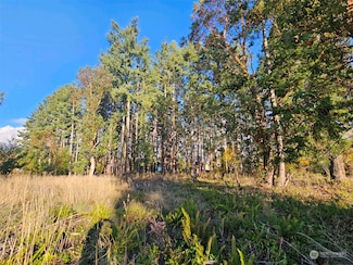 1/2 W 8th St, Port Angeles, WA 98362