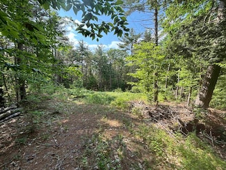 00 Davis Hill Rd, Center Conway, NH 03813