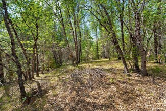 1-A-17 Mount Shasta Dr, McCloud, CA 96057