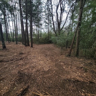 Lot 6 Blue Jay Dr, Kountze, TX 77625