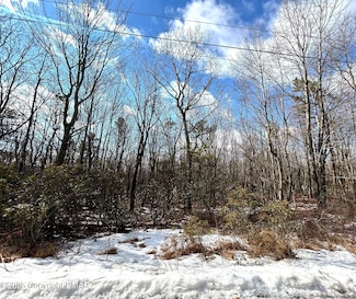 Lot A107 Chippy Cir, Jim Thorpe, PA 18229