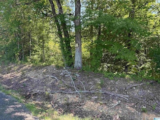 0 Murdock Rd, Attalla, AL 35954