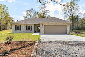 11 Hammock Rd, Carriere, MS 39426