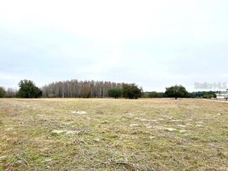 4 Outlaw Way, Land O' Lakes, FL 34639