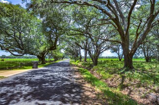 15410 Caruthers Rd, Dover, FL 33527