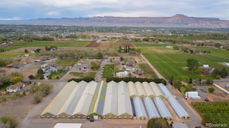 3281 C Rd, Palisade, CO 81526