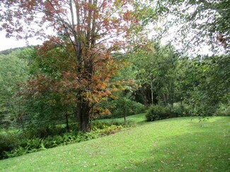 143 Rogers, Bridgewater, VT 05034