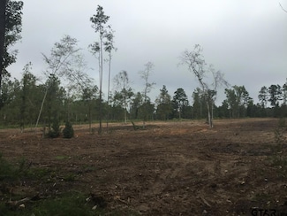 TBD County Road 4135, Overton, TX 75684