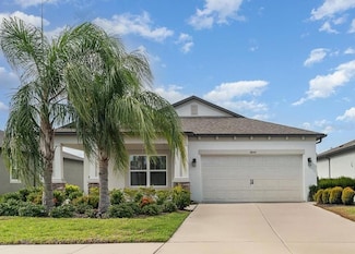 11444 Alachua Creek Ln, Riverview, FL 33579