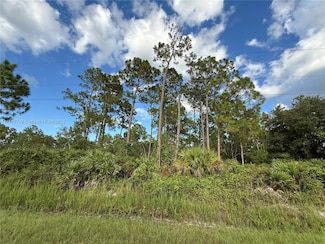 755 S Palm St, Montura, FL 33440