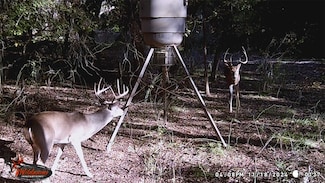 3061 Canyon Ranch Rd, Santo, TX 76484