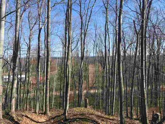 0 Lakeview Rd, Levering, MI 49755