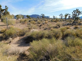 27196 N Apple Dr, Meadview, AZ 86444