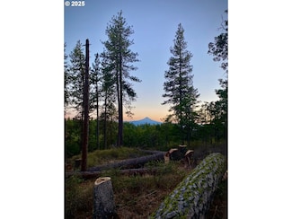 0 Secluded Way Unit 2 24300029, Lyle, WA 98635