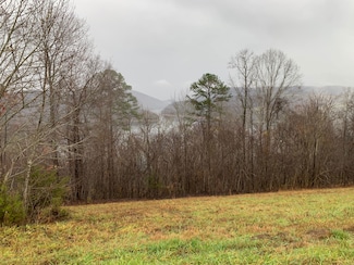 0 Sapphire Ct Unit 22243872, New Tazewell, TN 37825