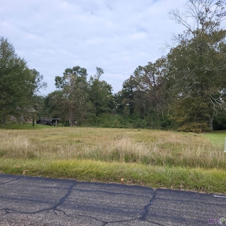 16835 E Coliseum Ave, Broadmoor/Sherwood Forest, LA 70816