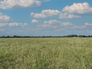Tract 1 Tbd County Road 318, Caldwell, TX 77836