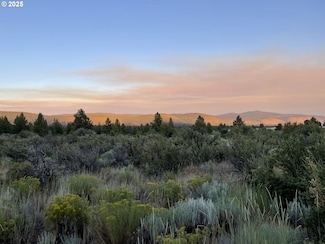 0 Copperfield Unit 5 664309638, Chiloquin, OR 97624