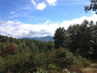 0 the Hills Ln Unit 7402098, Blairsville, GA 30512