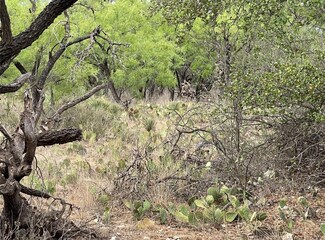 600 Swaim Rd, Eden, TX 76837
