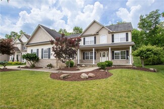 5532 Brook Run Dr, Medina, OH 44256