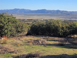 0 Mount Rd Unit SW25230587, Anza, CA 92825