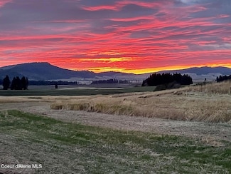 387 Starling Ln, Plummer, ID 83851