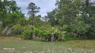 205 Oakwood Ln, Sebring, FL 33876