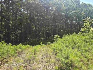 0 Sunnyvale Ct, Fairfield Bay, AR 72088