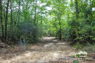 0 Hwy 87, Jack, AL 36346