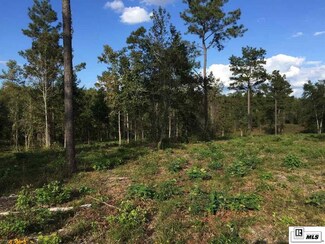 0 Highway 4 E Unit Tract 1 196696, Chatham, LA 71226