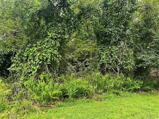 Lot 69 Cobalt Bay Dr, Shirley, AR 72153