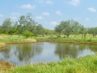 Fm 462, Moore, TX 78057