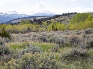 Lot 4 Wey's View, McAllister, MT 59740