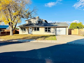 311 E Lexington Way, Fruita, CO 81521