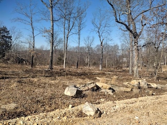 0 Harness Rd Unit 25003544, Mountain View, AR 72560