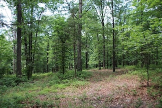 0 Gough Rd Unit LotWP002 20612085, Winchester, VA 22602