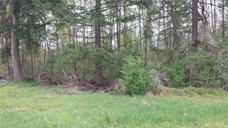 23009 59th Ave E, Spanaway, WA 98387