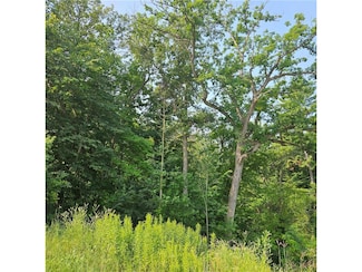 xxx Nelson Dr, Elmwood, WI 54740