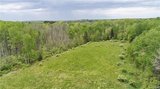 9141 River Rd, Lysander, NY 13027