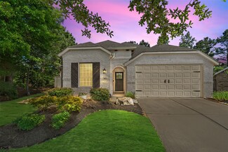 203 Black Hickory Ct, Montgomery, TX 77316